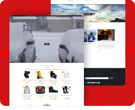 Website — Shopify thumb12