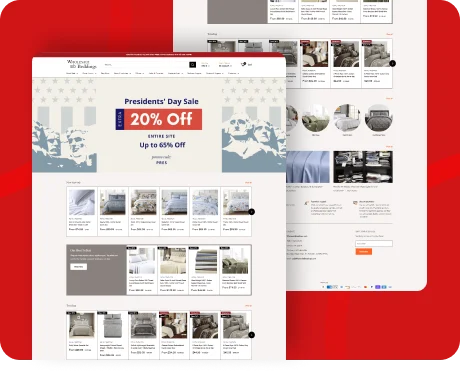 Website — Shopify thumb13